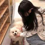 新真江湖正版游戏下载